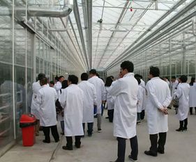 永通科技亮相京津冀，共探蔬菜工廠化生產新路徑