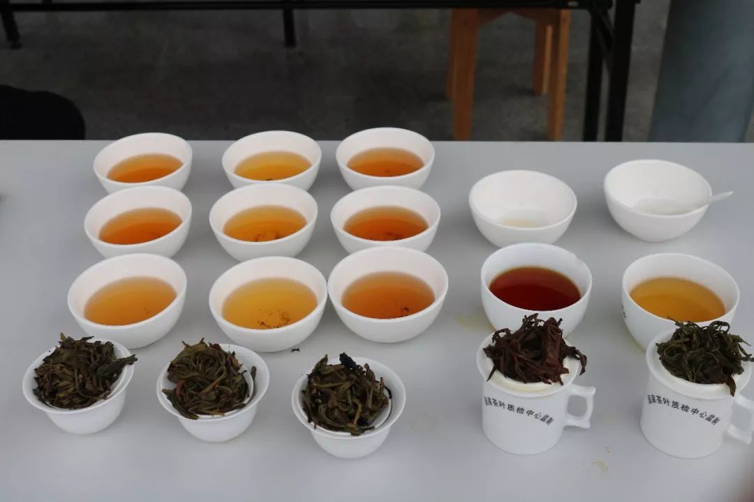 首屆廣東省評茶員技能大賽圓滿落幕，東方國際茶都飄香引才